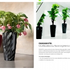 kasphi-saksii-katalog-lechuza-3-012-012