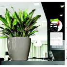 kasphi-saksii-katalog-lechuza-3-014-014