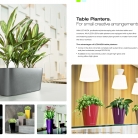 kasphi-saksii-katalog-lechuza-3-019-019