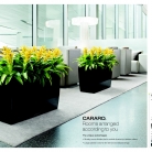 kasphi-saksii-katalog-lechuza-3-020-020