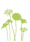 kasphi-katalog-last-giardino-002-002