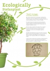 kasphi-katalog-last-giardino-007-007