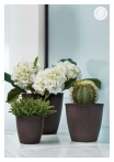 kasphi-katalog-last-giardino-012-012