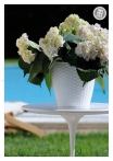 kasphi-katalog-last-giardino-014-014