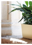 kasphi-katalog-last-giardino-016-016