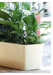 kasphi-katalog-last-giardino-017-017
