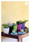 kasphi-katalog-last-giardino-026-026