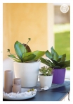 kasphi-katalog-last-giardino-028-028