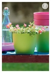 kasphi-katalog-last-giardino-030-030