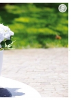 kasphi-katalog-last-giardino-035-035