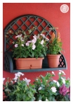 kasphi-katalog-last-giardino-056-056