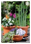 kasphi-katalog-last-giardino-062-062