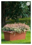 kasphi-katalog-last-giardino-072-072