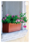 kasphi-katalog-last-giardino-096-096