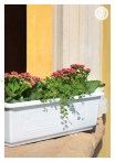 kasphi-katalog-last-giardino-108-108