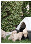 kasphi-katalog-last-giardino-132-132