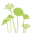 kasphi-katalog-last-giardino-002-002