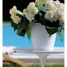 kasphi-katalog-last-giardino-014-014