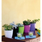 kasphi-katalog-last-giardino-026-026