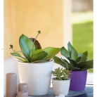 kasphi-katalog-last-giardino-028-028