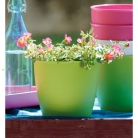 kasphi-katalog-last-giardino-030-030