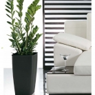 kasphi-katalog-last-giardino-038-038