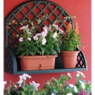 kasphi-katalog-last-giardino-056-056