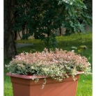 kasphi-katalog-last-giardino-072-072