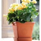 kasphi-katalog-last-giardino-080-080