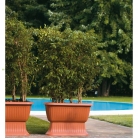 kasphi-katalog-last-giardino-088-088