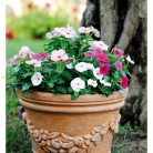 kasphi-katalog-last-giardino-104-104