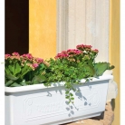kasphi-katalog-last-giardino-108-108