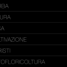 katalog-kashpi-erba12-005-005