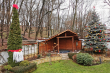 NG-CHRISTMAS-16