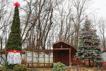 NG-CHRISTMAS-17