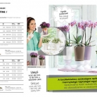 lechuza-planters-assortment-catalog-hu-pl-p25