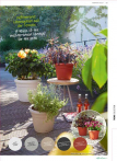 b2b-lechuza-pflanzgefaesse-sortiment-broschuere-de-2018-p029