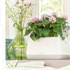 b2b-lechuza-pflanzgefaesse-sortiment-broschuere-de-2018-p010