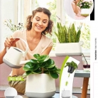 b2b-lechuza-pflanzgefaesse-sortiment-broschuere-de-2018-p013