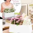 b2b-lechuza-pflanzgefaesse-sortiment-broschuere-de-2018-p014