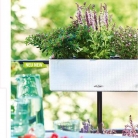 b2b-lechuza-pflanzgefaesse-sortiment-broschuere-de-2018-p024