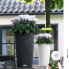 b2b-lechuza-pflanzgefaesse-sortiment-broschuere-de-2018-p027