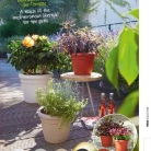 b2b-lechuza-pflanzgefaesse-sortiment-broschuere-de-2018-p029