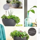 b2b-lechuza-pflanzgefaesse-sortiment-broschuere-de-2018-p033