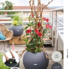 b2b-lechuza-pflanzgefaesse-sortiment-broschuere-de-2018-p041