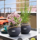 b2b-lechuza-pflanzgefaesse-sortiment-broschuere-de-2018-p043