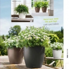 b2b-lechuza-pflanzgefaesse-sortiment-broschuere-de-2018-p049