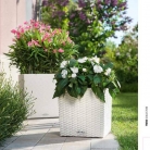 b2b-lechuza-pflanzgefaesse-sortiment-broschuere-de-2018-p061