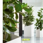 b2b-lechuza-pflanzgefaesse-sortiment-broschuere-de-2018-p072