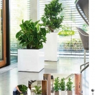 b2b-lechuza-pflanzgefaesse-sortiment-broschuere-de-2018-p077